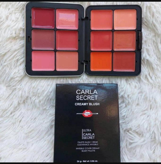 12 in 1 blush kit