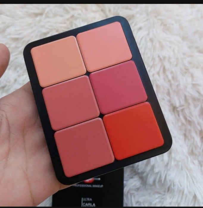 12 in 1 blush kit