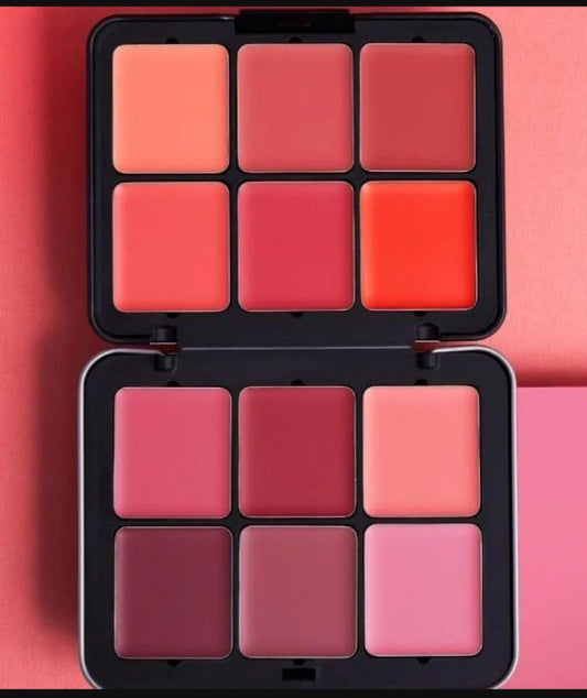 12 in 1 blush kit