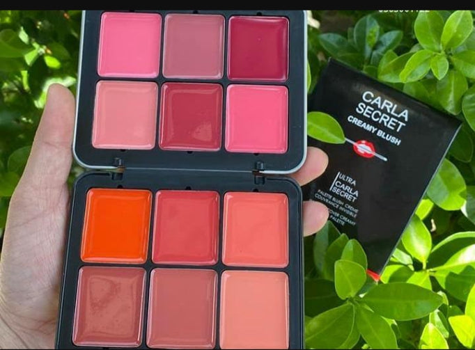 12 in 1 blush kit